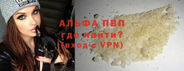 твердый Инсар