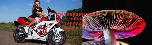 твердый Инсар
