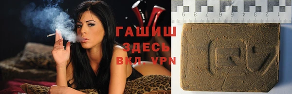 твердый Инсар