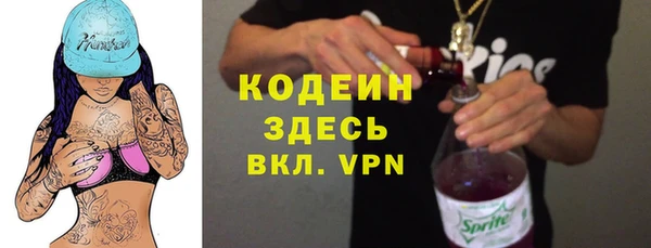 твердый Инсар