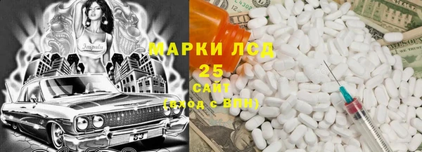 твердый Инсар