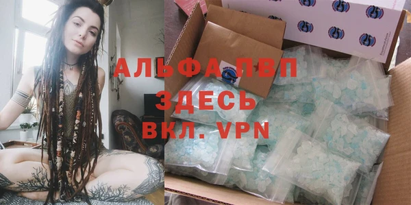 твердый Инсар