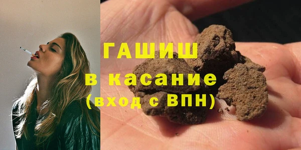 твердый Инсар