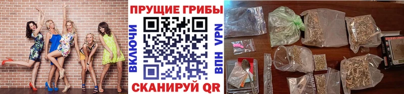 Купить где  Аткарск  Псилоцибиновые грибы Cubensis 